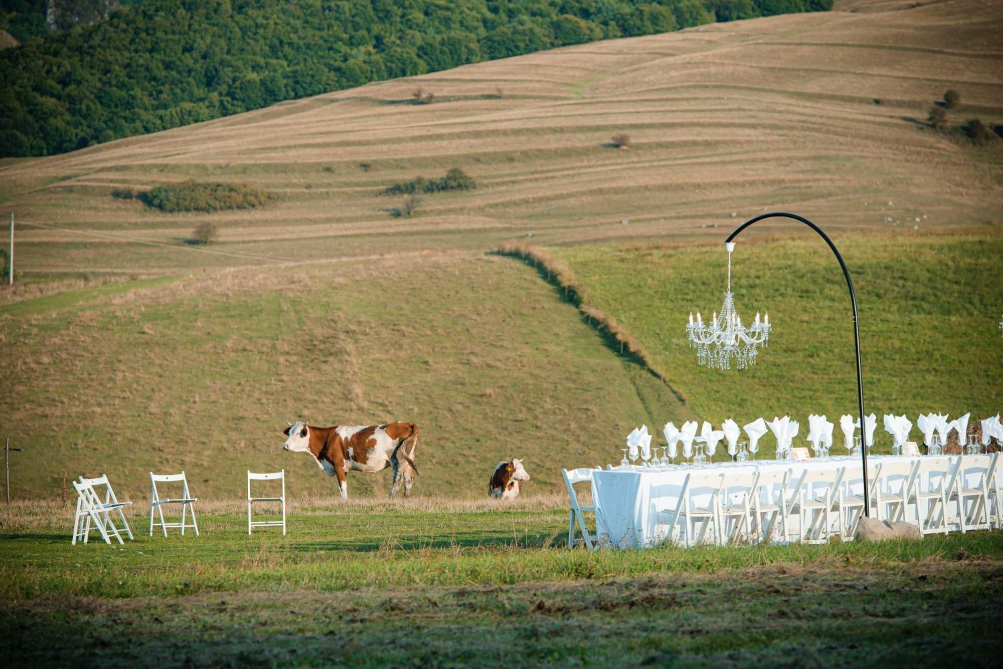 Ratiu House Hotel Turda Luaran gambar